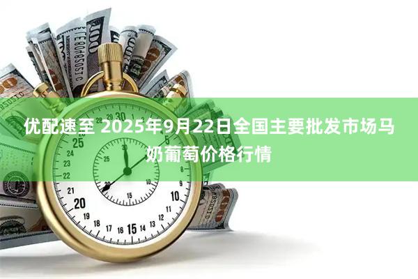 优配速至 2025年9月22日全国主要批发市场马奶葡萄价格行情