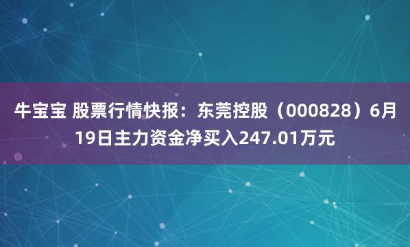 牛宝宝 股票行情快报：东莞控股（000828）6月19日主力资金净买入247.01万元