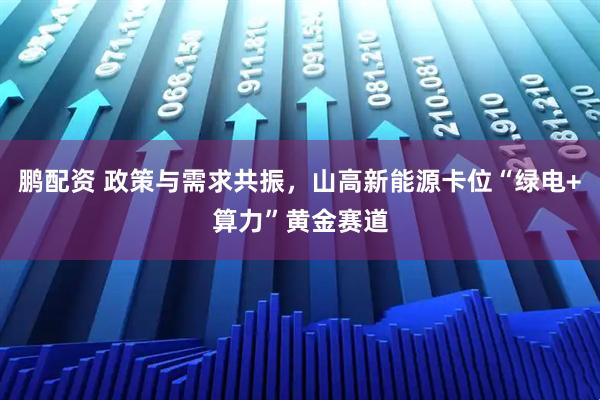 鹏配资 政策与需求共振，山高新能源卡位“绿电+算力”黄金赛道
