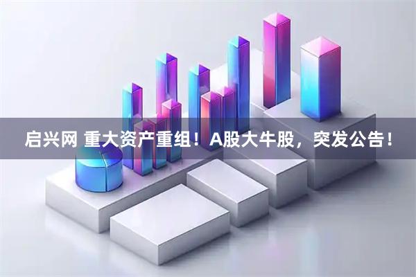启兴网 重大资产重组！A股大牛股，突发公告！
