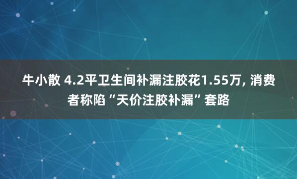 牛小散 4.2平卫生间补漏注胶花1.55万, 消费者称陷“天价注胶补漏”套路
